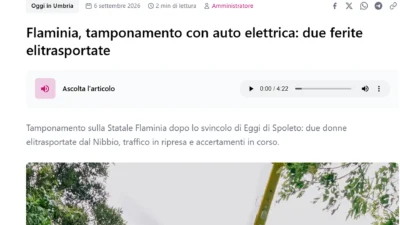 auto elettrica tamponare