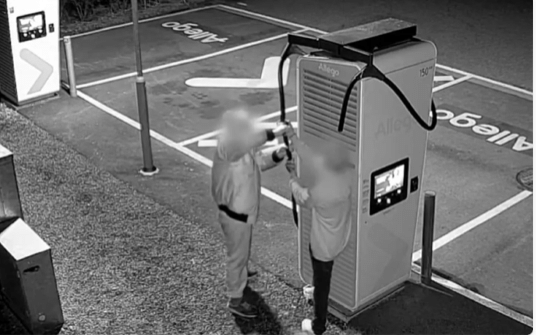 Protezione cavi anti furto