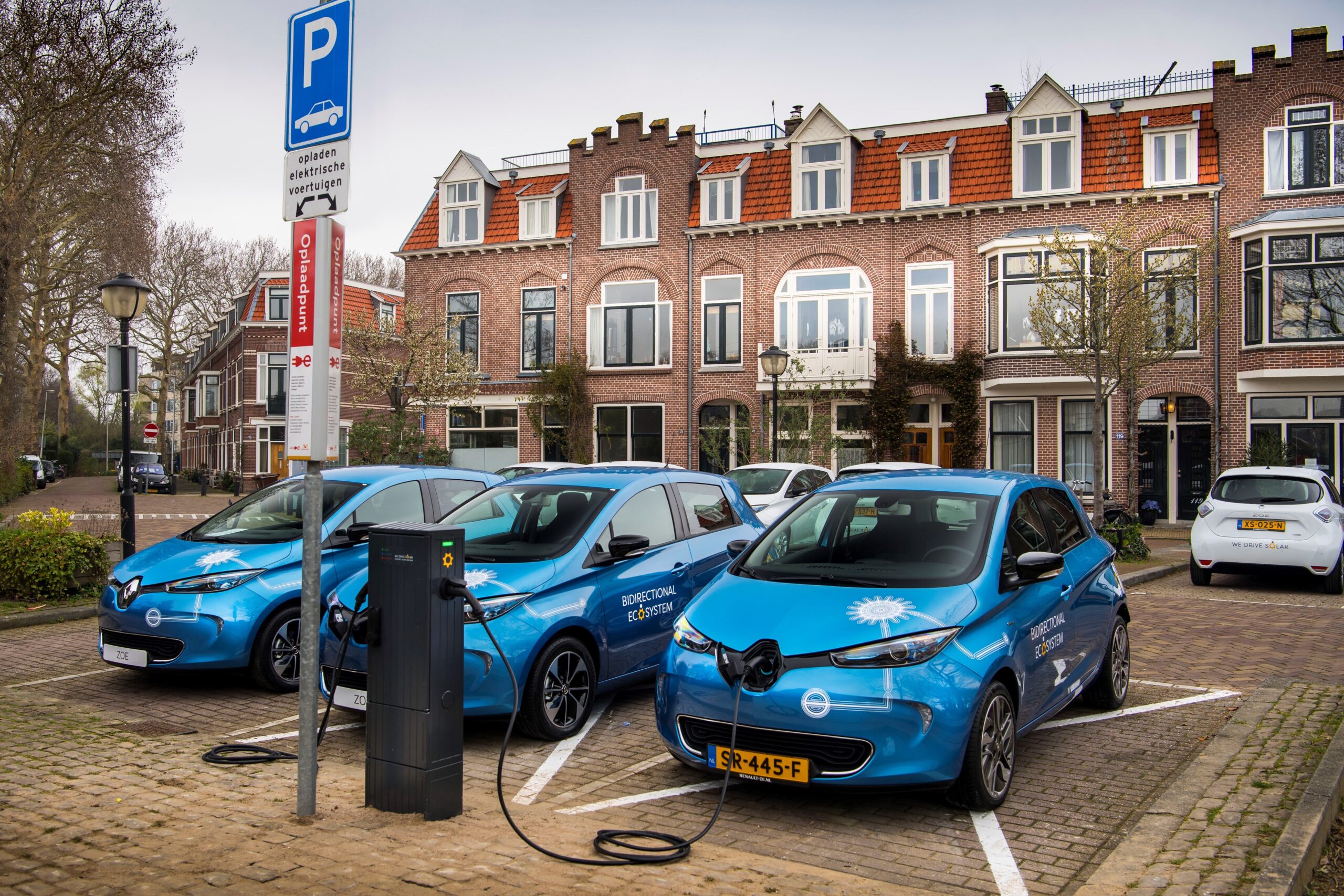 black out auto elettriche