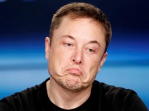 Elon Musk di Tesla