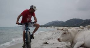 Let's Bike Sardinia